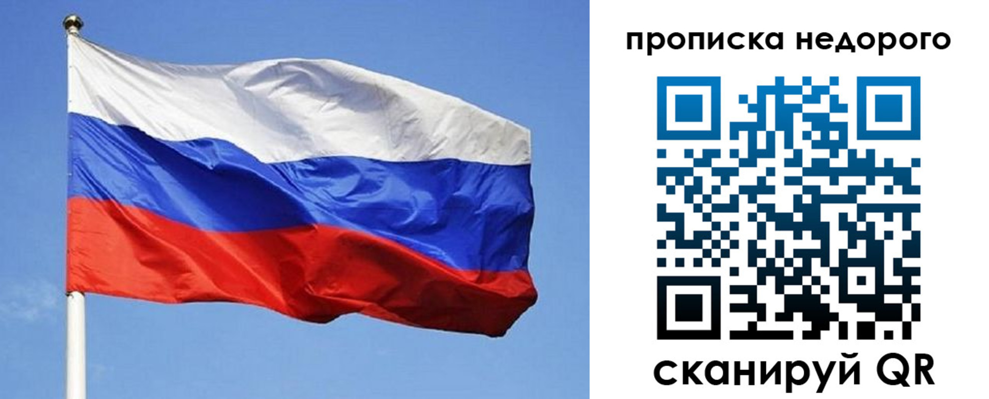 прописка для школы в Владимирской области