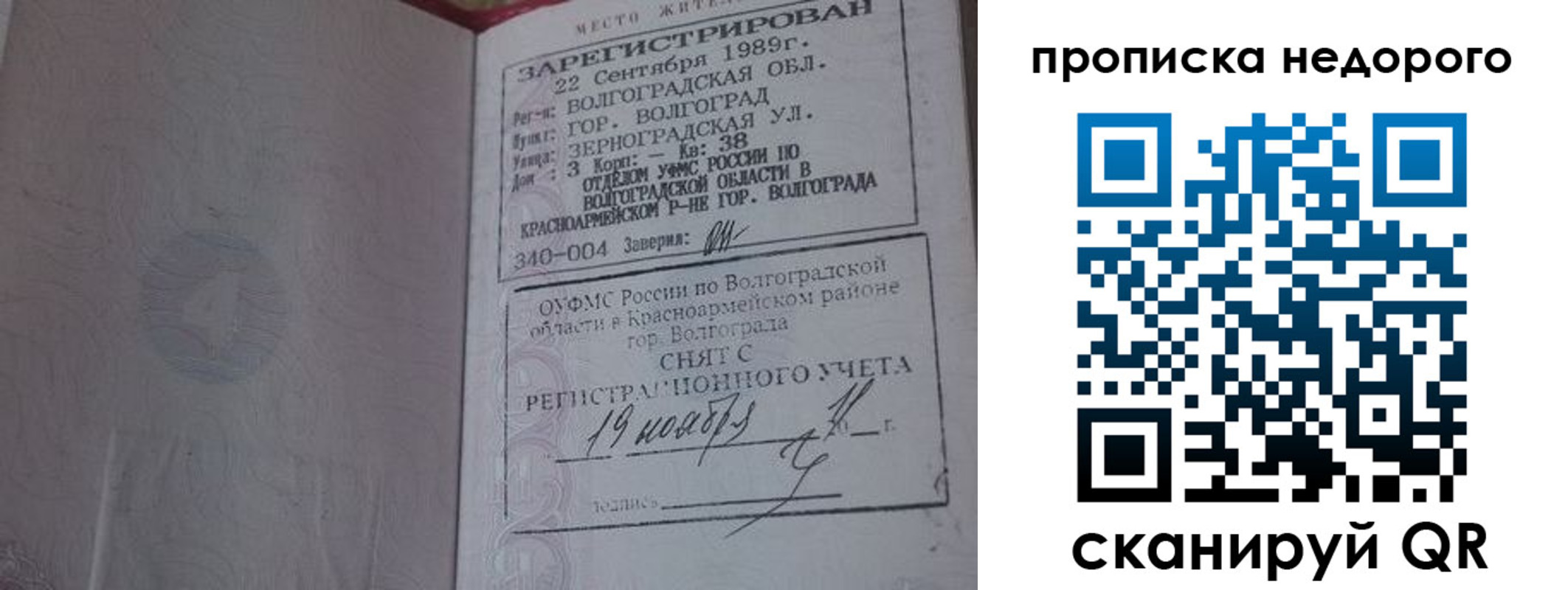 прописка гарантия в Владимирской области
